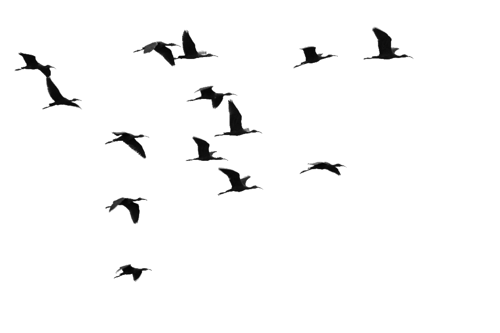 292373421_10159412248843952_5639998072743369573_n